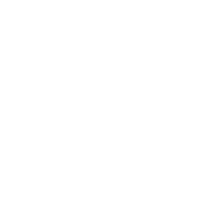 logo_paysecfinland_transp_white